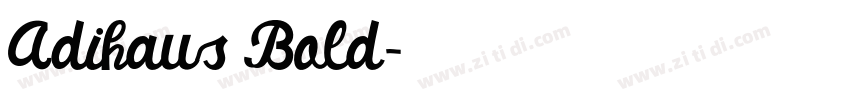 Adihaus Bold字体转换 Adihaus Bold字体转换